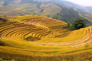 Hanoi: 3-Day Mu Cang Chai Trekking, Hidden Trail, Local Life