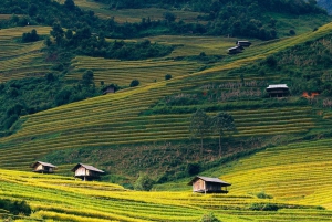 Hanoi: 3-Day Mu Cang Chai Trekking, Hidden Trail, Local Life