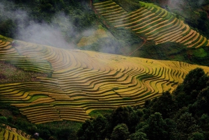 Hanoi: 3-Day Mu Cang Chai Trekking, Hidden Trail, Local Life