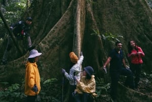 Parc national de Cuc Phuong : Trek & Camp dans la jungle 2 jours