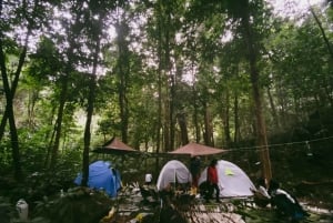 Parc national de Cuc Phuong : Trek & Camp dans la jungle 2 jours