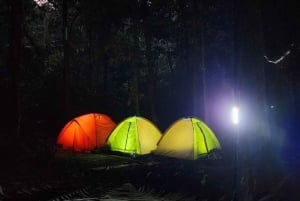 Parc national de Cuc Phuong : Trek & Camp dans la jungle 2 jours