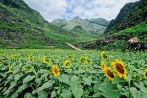 Vietnam: 7-Day North Vietnam Tour with Accommodation