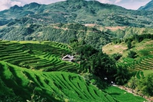 Visita tutti i luoghi di Sapa in auto (partendo da Ha Noi in autobus)
