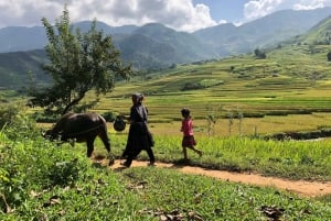 Visita tutti i luoghi di Sapa in auto (partendo da Ha Noi in autobus)
