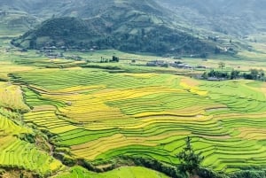 Visita tutti i luoghi di Sapa in auto (partendo da Ha Noi in autobus)