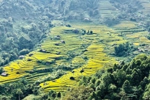 Visita tutti i luoghi di Sapa in auto (partendo da Ha Noi in autobus)