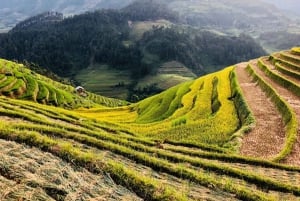 Visita tutti i luoghi di Sapa in auto (partendo da Ha Noi in autobus)