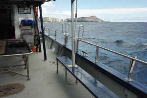 3-Hour Honolulu Bottom Fishing Adventure