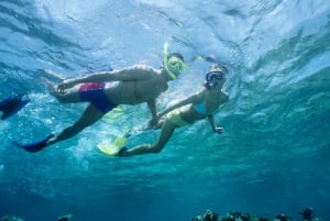 Snorkel en Waikiki y aventura en el parque acuático Ocean Waterpark