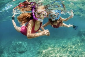 Snorkel en Waikiki y aventura en el parque acuático Ocean Waterpark