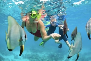 Snorkel en Waikiki y aventura en el parque acuático Ocean Waterpark