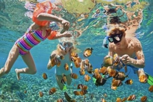 Snorkel en Waikiki y aventura en el parque acuático Ocean Waterpark