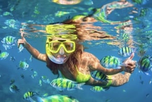 Snorkel en Waikiki y aventura en el parque acuático Ocean Waterpark