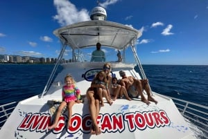 3-timers cruise med vannsklie i Waikiki og lekeplass i havet