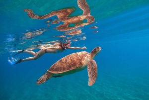 Sunset Dinner with 5-in-1 Turtle Snorkeling with Transfers