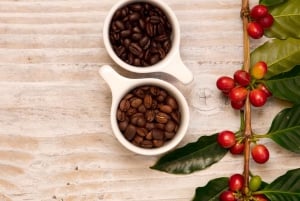 Hawaii Hala Tree Coffee: koffiecupping-workshop