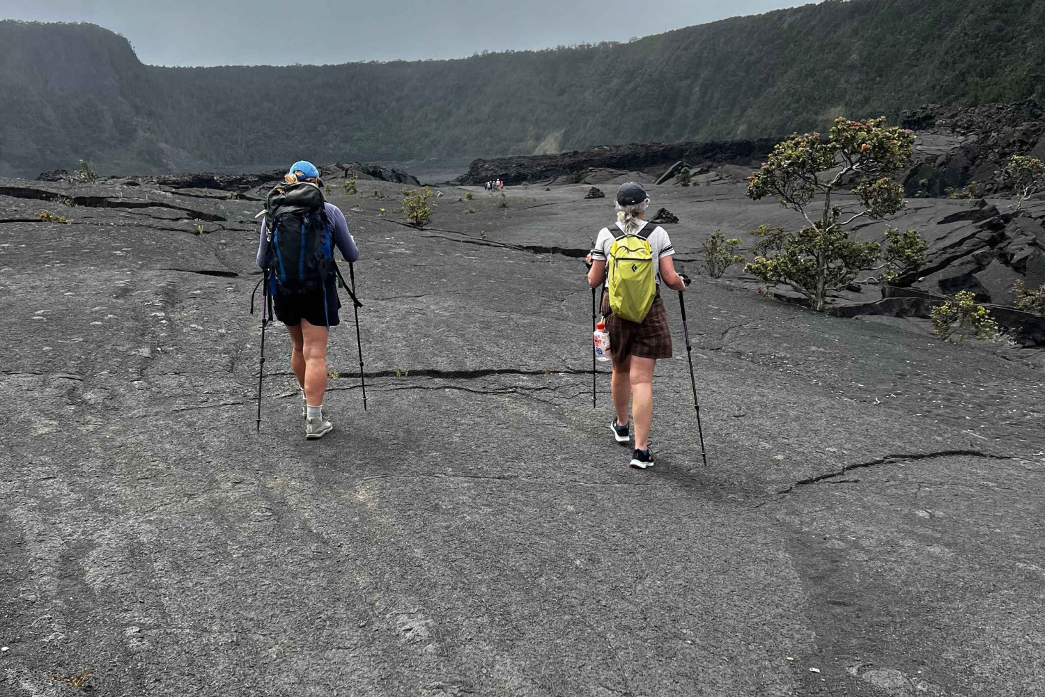 Une aventure de randonnée guidée : Cratère Kilauea Iki et tube de lave