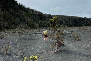 Wycieczka z przewodnikiem: Krater Kilauea Iki i rura lawowa