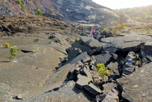 Wycieczka z przewodnikiem: Krater Kilauea Iki i rura lawowa