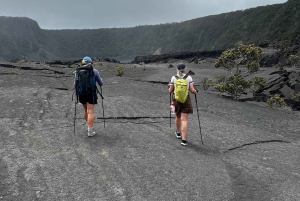 Wycieczka z przewodnikiem: Krater Kilauea Iki i rura lawowa