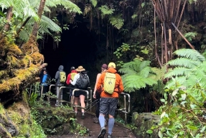 Wycieczka z przewodnikiem: Krater Kilauea Iki i rura lawowa