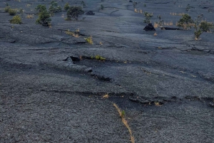 Une aventure de randonnée guidée : Cratère Kilauea Iki et tube de lave