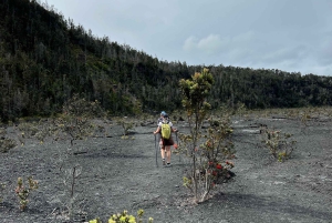 Une aventure de randonnée guidée : Cratère Kilauea Iki et tube de lave