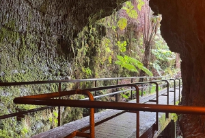 Une aventure de randonnée guidée : Cratère Kilauea Iki et tube de lave