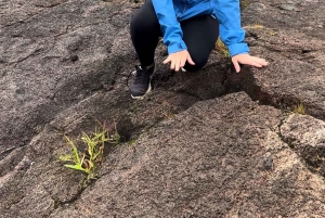 Une aventure de randonnée guidée : Cratère Kilauea Iki et tube de lave