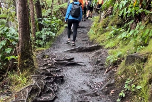 Une aventure de randonnée guidée : Cratère Kilauea Iki et tube de lave