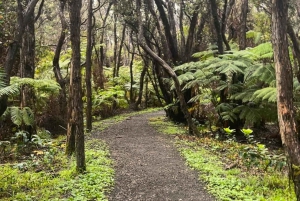 Une aventure de randonnée guidée : Cratère Kilauea Iki et tube de lave