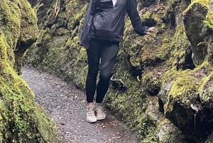 Une aventure de randonnée guidée : Cratère Kilauea Iki et tube de lave