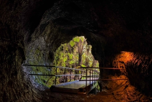 Une aventure de randonnée guidée : Cratère Kilauea Iki et tube de lave