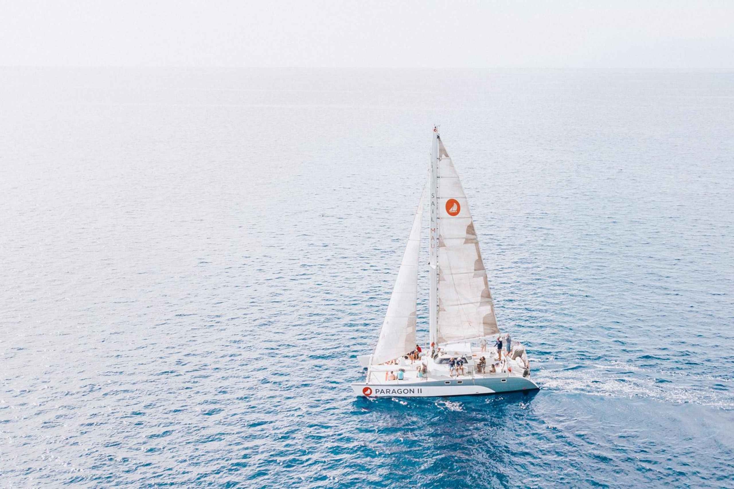 Middag walvisspotten vanuit Lahaina