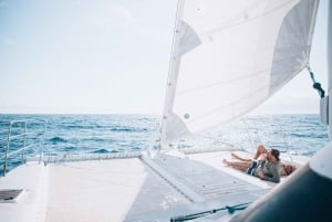 Middag walvisspotten vanuit Lahaina