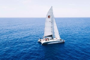 Middag walvisspotten vanuit Lahaina