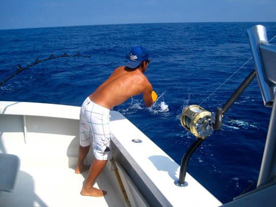 Alibi Sport Fishing