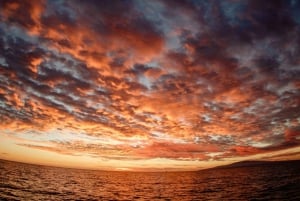 Alii Nui Makani segling i solnedgången på Maui