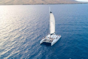 Alii Nui Maui Navegación en Catamarán para Avistamiento de Ballenas