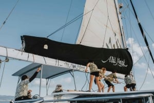 Alii Nui Maui Navegación en Catamarán para Avistamiento de Ballenas
