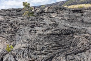 Tout compris : visite des volcans, du tunnel de lave et de la plage de sable noir