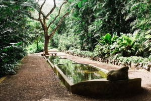 Kauai: Allerton Garden Guided Group Walking Tour