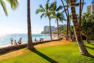 Aloha-avonturen: Een wandeltour voor het hele gezin in Waikiki