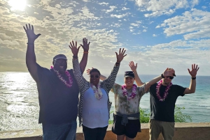 Fantastisk rundtur på Circle Island