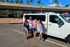 Fantastisk rundtur på Circle Island