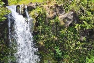 Fantastisk rundtur på Circle Island
