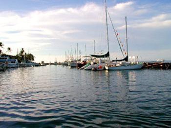 Best Western Pioneer Inn Hotel