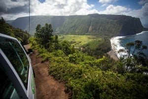 Big Hawaii: Prywatna wycieczka vanem z przewodnikiem