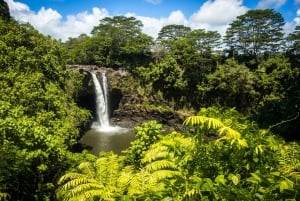 Gran Hawai: Excursión privada guiada en furgoneta